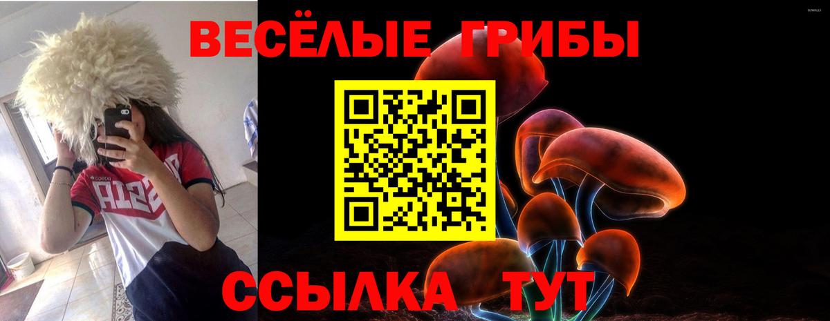 Псилоцибиновые грибы Psilocybe  Псилоцибиновые грибы мухоморы  цены   Стерлитамак  Вход с VPN 